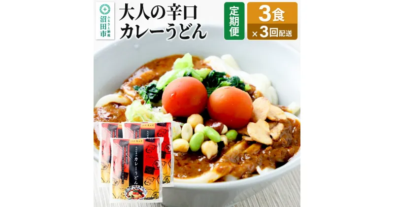 【ふるさと納税】《定期便3回》みのや 大人の辛口カレーうどん 3食セット