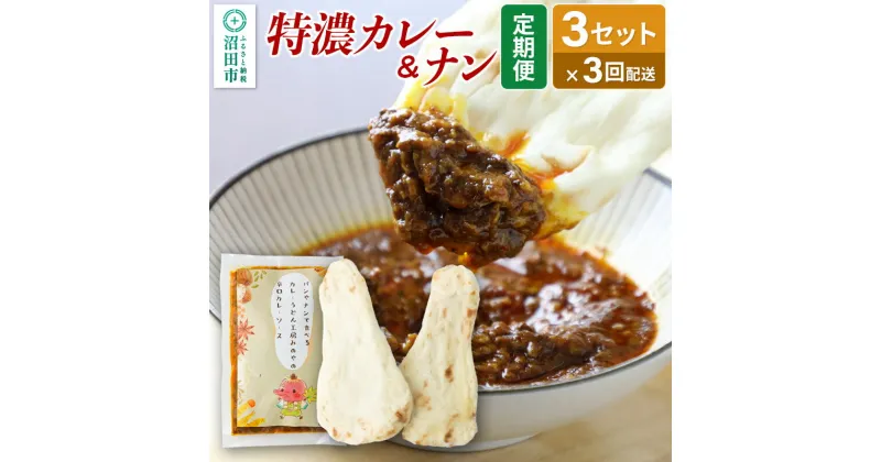 【ふるさと納税】《定期便3回》みのや 特濃カレー＆ナン 3セット