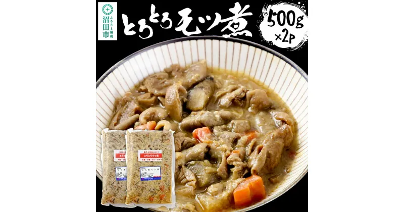 【ふるさと納税】とろとろモツ煮 500g×2パック