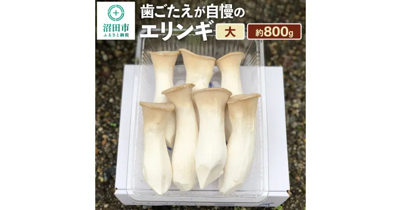 【ふるさと納税】歯ごたえが自慢のエリンギ 大 約800g