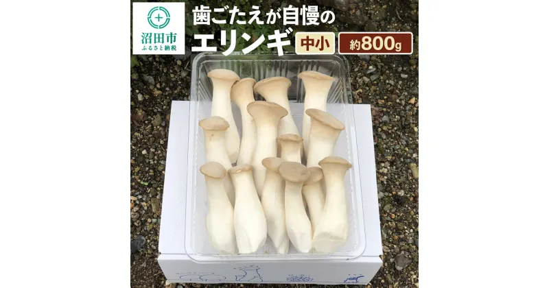 【ふるさと納税】歯ごたえが自慢のエリンギ 中小 約800g