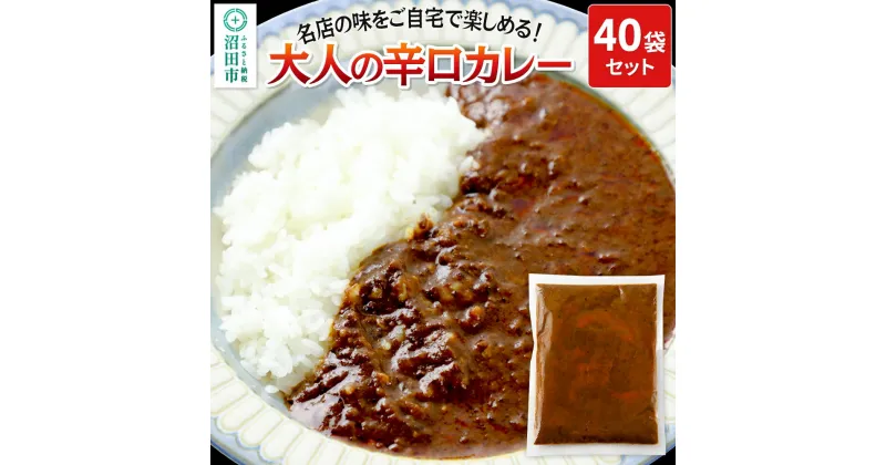 【ふるさと納税】みのや 大人の辛口カレー 40袋セット