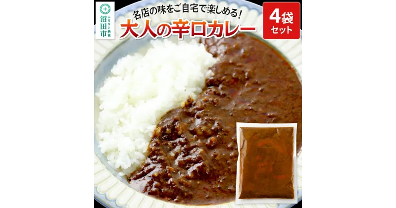 【ふるさと納税】みのや 大人の辛口カレー 4袋セット