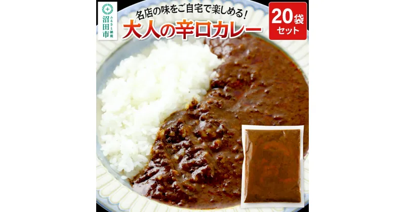 【ふるさと納税】みのや 大人の辛口カレー 20袋セット