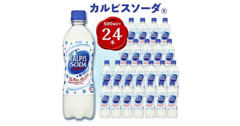 【ふるさと納税】『カルピスソーダ』PET500ml　24本【1335992】