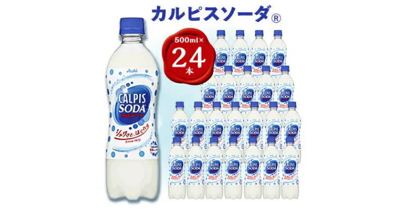 【ふるさと納税】【2ヵ月毎定期便】『カルピスソーダ』PET500ml　24本　隔月全6回【4011135】