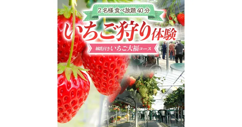 【ふるさと納税】いちご狩り体験 2名様 食べ放題40分 練乳付き いちご大福コース 【現地体験型】 利用券 チケット 観光 旅行 イチゴ 苺 ふるさと 故郷 納税 群馬 渋川市 F4H-0032