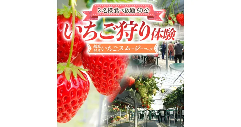 【ふるさと納税】いちご狩り体験2名様 食べ放題1時間 練乳付き いちごスムージーコース 【現地体験型】 利用券 チケット 観光 旅行 イチゴ 苺 ふるさと 故郷 納税 群馬 渋川市 F4H-0033