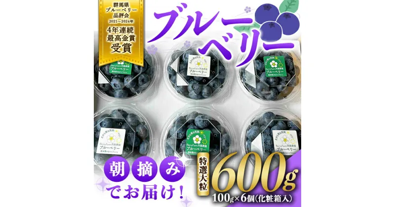 【ふるさと納税】 ブルーベリー特選大粒600g 朝摘みでお届け！【4年連続最高金賞受賞 群馬県ブルーベリー品評会2021~2024年】化学農薬不使用 除草剤不使用 フルーツ 果物 F4H-0038