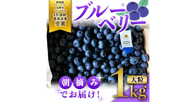 【ふるさと納税】 ブルーベリー大粒1kg 朝摘みでお届け！【4年連続最高金賞受賞 群馬県ブルーベリー品評会2021~2024年】 大粒 化学農薬不使用 除草剤不使用 フルーツ 果物 F4H-0039