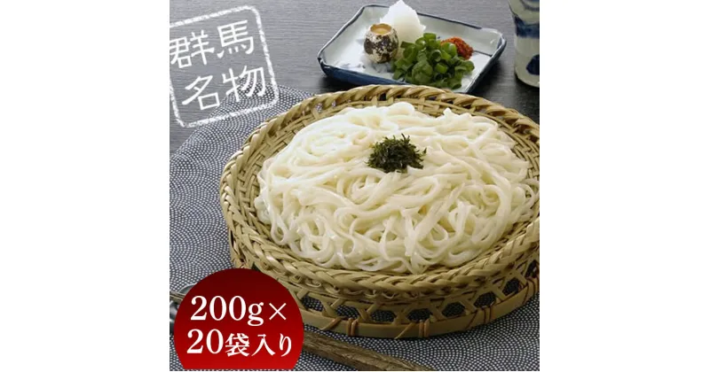 【ふるさと納税】ふる里水沢®うどん 200g（2人前）×20袋入り（約40人前） 麺 乾麺 日本三大うどん 水沢 ふるさと 故郷 納税 群馬 渋川市 F4H-0053