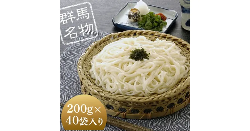 【ふるさと納税】ふる里水沢®うどん200g（2人前）×40袋入り（約80人前） 麺 日本三大うどん 水沢 ふるさと 故郷 納税 群馬 渋川市 F4H-0055