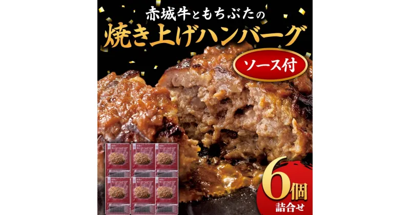 【ふるさと納税】赤城牛ともちぶたの焼き上げハンバーグ 6個詰め合せ（ソース付き） セット レトルト 食品 湯せん 湯煎 一人暮らし ふるさと 故郷 納税 群馬 渋川市 F4H-0061