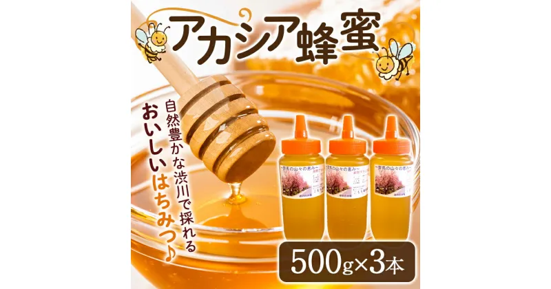 【ふるさと納税】蜂蜜（アカシア）500g×3本セット はちみつ ハチミツ ハニー あかしあ とんがり容器 国産 ふるさと 故郷 納税 群馬 渋川市 F4H-0070