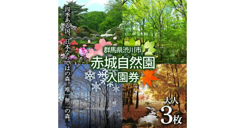 【ふるさと納税】赤城自然園 入園券 チケット 入場券 自然観察園 ふるさと 故郷 納税 群馬 渋川市 F4H-0082