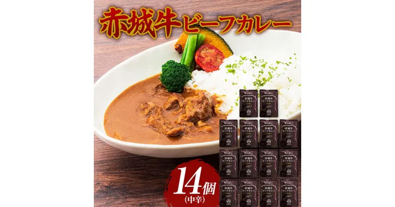 【ふるさと納税】赤城牛 ビーフカレー（中辛）200g×14個 《ご当地レトルトカレーランキング全国第3位受賞》カレー レトルト 牛肉 銘柄牛 赤城牛 長期保存 群馬 渋川市 F4H-0119