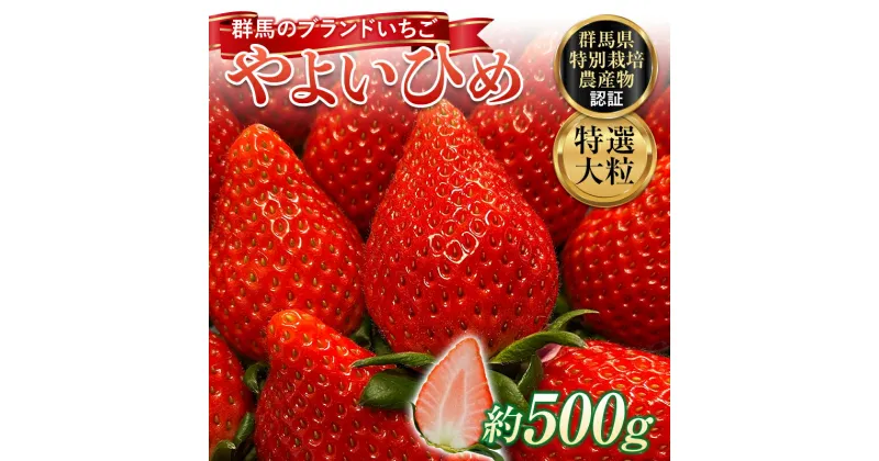 【ふるさと納税】 特選大粒 ブランドいちご「やよいひめ」朝摘みでお届け！500g イチゴ 苺 果物 フルーツ くだもの デザート ケーキ作り 群馬県 渋川市 F4H-0160