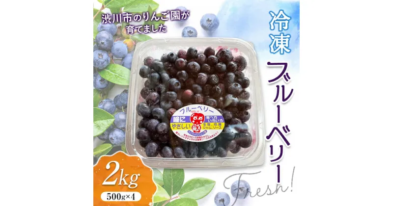 【ふるさと納税】フレッシュな冷凍ブルーベリー2kg（500g×4） フルーツ 果物 果実 群馬県 渋川市 F4H-0177