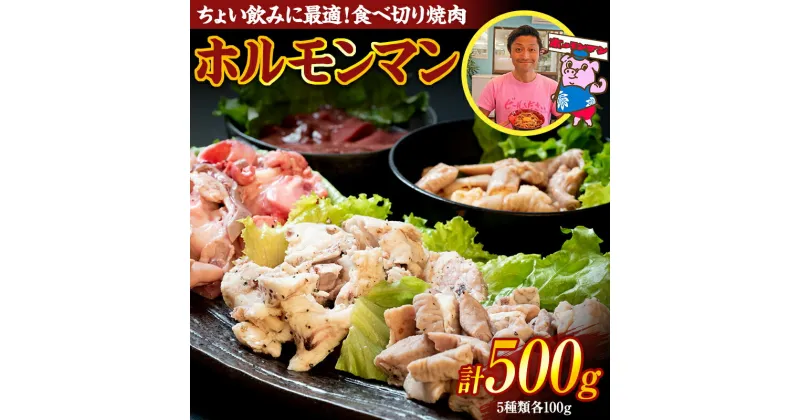 【ふるさと納税】ちょい飲みに最適！食べ切り焼肉「ホルモンマン」セット500g 豚ホルモン 豚肉 焼肉 BBQ ガツナンコツ レバー 白モツ 大トロ 群馬県 渋川市 F4H-0179