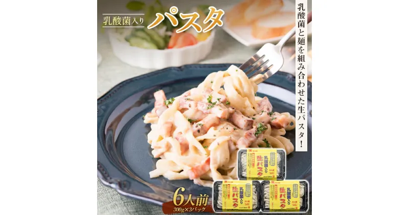 【ふるさと納税】乳酸菌入りパスタ6人前 麺 パスタ フェットチーネ 平麺 生パスタ F4H-0198