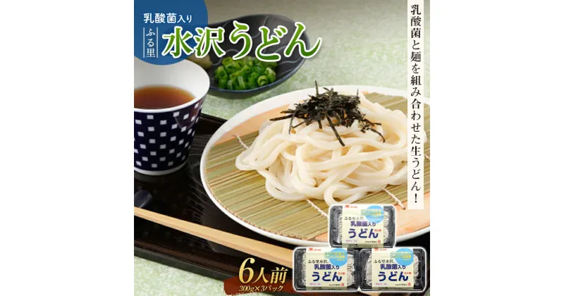 【ふるさと納税】乳酸菌入りふる里水沢うどん 6人前 麺 生うどん 水沢 生饂飩 生麺 生めん F4H-0199