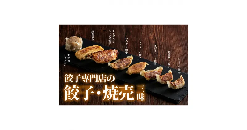 【ふるさと納税】餃子専門店の餃子焼売三昧 冷凍 焼き餃子 餃子 詰合せ 焼売 水餃子 ぎょうざ ギョーザ お弁当 おかず 中華 F4H-0274