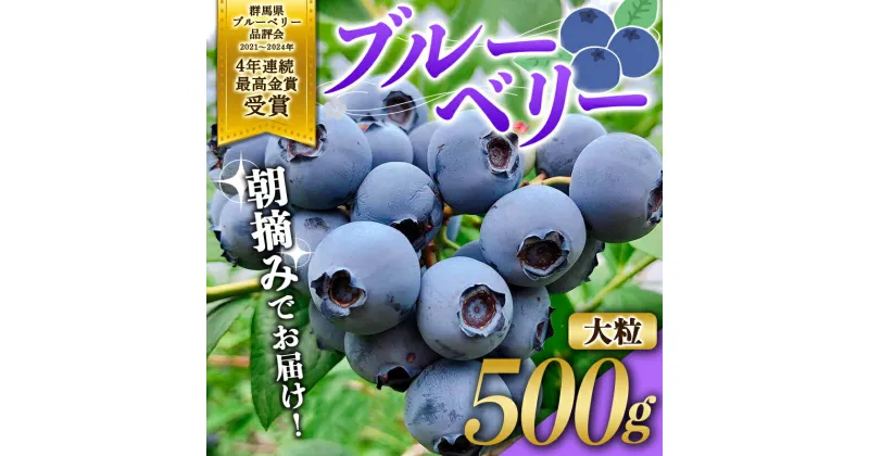 【ふるさと納税】 ブルーベリー大粒500g 朝摘みでお届け！【4年連続最高金賞受賞 群馬県ブルーベリー品評会2021~2024年】 大粒 化学農薬不使用 除草剤不使用 フルーツ 果物 F4H-0409