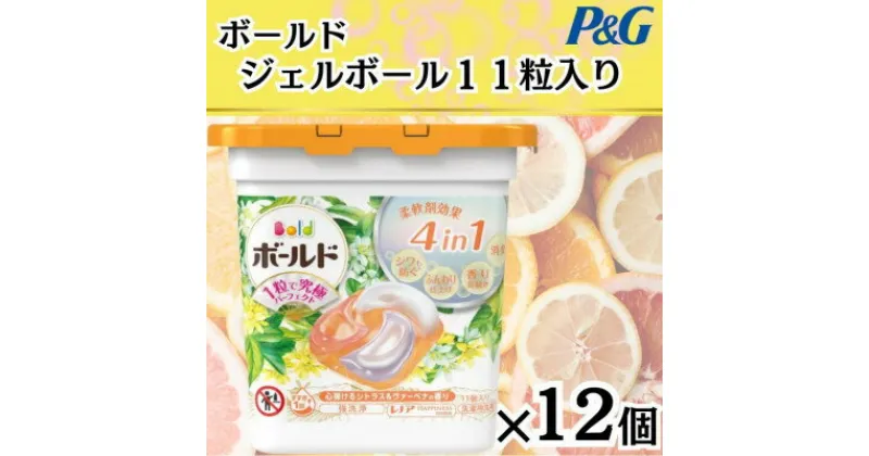 【ふるさと納税】ボールド洗濯洗剤ジェルボール　シトラス　11粒入り×12個(合計132粒)【1480923】