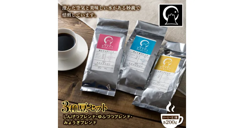 【ふるさと納税】コーヒー 3種豆セット（200g×3） F20E-499