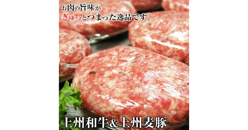 【ふるさと納税】手作り王様のハンバーグ （150g×6個） 豚 銘柄豚 ブランド豚 肉 上州麦豚 上州和牛 F20E-954