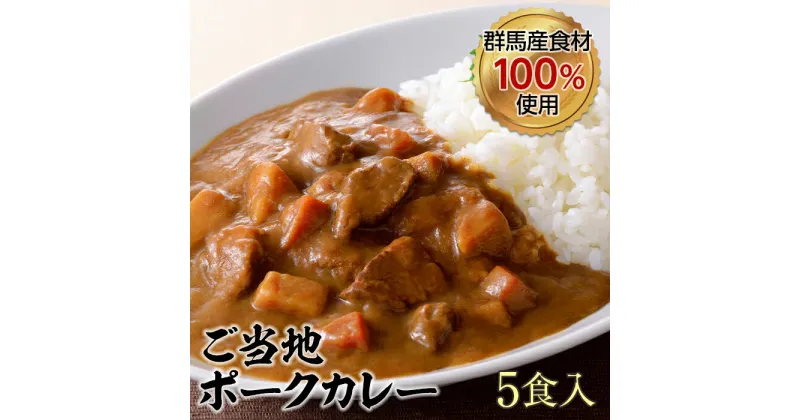 【ふるさと納税】上州麦豚 カレー5食入(200g×5) 豚 銘柄豚 ブランド豚 肉 F20E-959