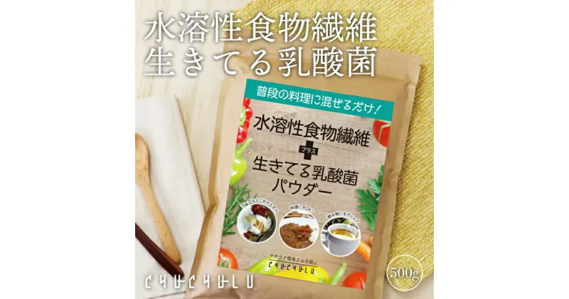 【ふるさと納税】 水溶性食物繊維＋生きてる乳酸菌パウダー500g×2 F20E-816