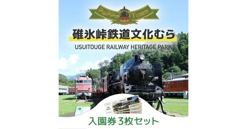 【ふるさと納税】碓氷峠鉄道文化むら入園招待券 3枚セット ANAE001 ／ チケット 入場券 送料無料 群馬県