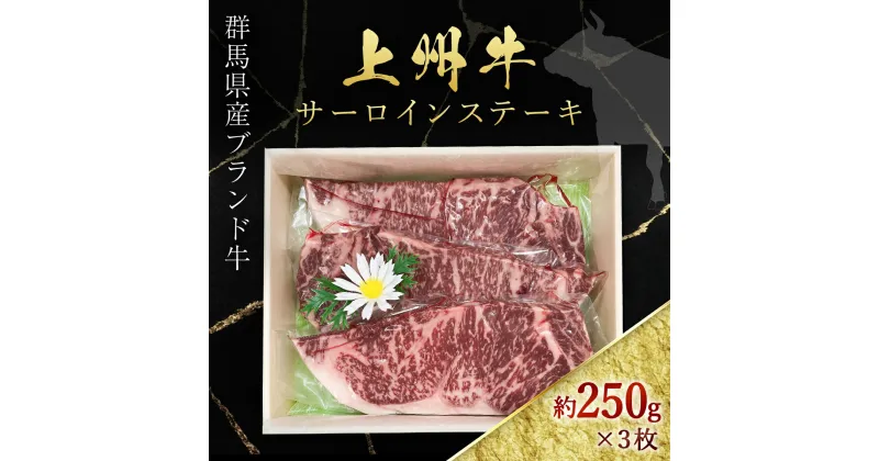 【ふるさと納税】上州牛サーロインステーキ約250g×3 ANP003 ／ 牛肉 サーロインステーキ 送料無料 群馬県 特産品