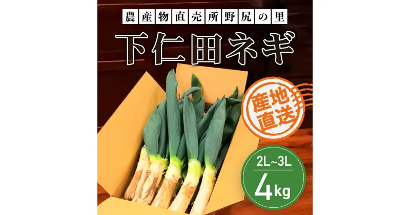 【ふるさと納税】【先行予約】下仁田ネギ2L～3Lサイズ【4kg】 ※数量限定 ANAR001 / 下仁田ネギ ネギ ねぎ 葱 産地直送 しもにたねぎ しもにたネギ 下仁田ねぎ 下仁田葱 ねぎ焼き ねぎ焼 鍋 すき焼き すきやき 数量限定 冬の味覚 国産 群馬県産