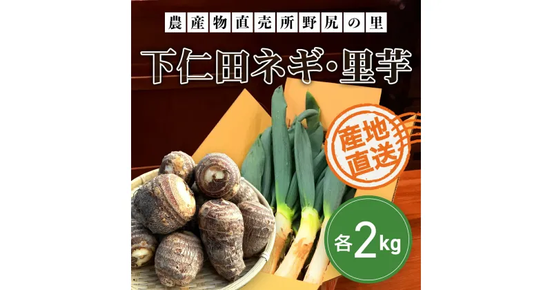 【ふるさと納税】【先行予約】下仁田ネギ・里芋【各2kg】 ※数量限定 ANAR002 / 下仁田ネギ ネギ ねぎ 葱 産地直送 しもにたねぎ しもにたネギ 下仁田ねぎ 下仁田葱 ねぎ焼き ねぎ焼 鍋 すき焼き すきやき 数量限定 里芋 さといも 里いも サトイモ 冬の味覚 国産 群馬県産