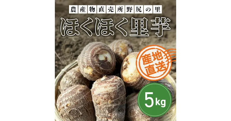 【ふるさと納税】【先行予約】土づくりからこだわったほくほく里芋【5kg】 ※数量限定 ANAR003 / 数量限定 里芋 さといも 里いも サトイモ 冬の味覚 国産 群馬県産 先行予約