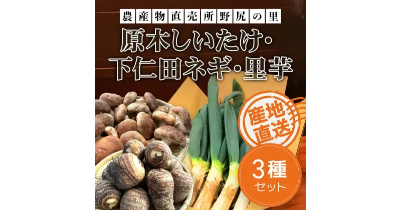 【ふるさと納税】【先行予約】下仁田ネギ【1kg】・里芋【2kg】・原木しいたけ【500g】セット ※数量限定 ANAR006 / 下仁田ネギ ネギ ねぎ 葱 しもにたねぎ しもにたネギ 下仁田ねぎ 下仁田葱 しいたけ シイタケ 椎茸 野菜 きのこ キノコ 茸 里芋 さといも 里いも サトイモ