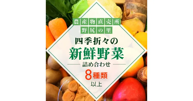 【ふるさと納税】四季折々の新鮮野菜詰め合わせ 旬をお届け! 【8種類以上】 ANAR007