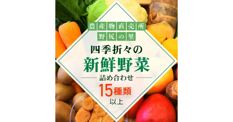 【ふるさと納税】四季折々の新鮮野菜詰め合わせ　旬をお届け!　【15種類以上】ANAR008