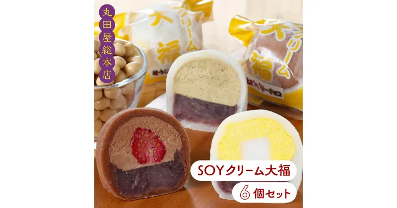 【ふるさと納税】SOYクリーム大福 6個セット ANQ018／ お取り寄せグルメ 和菓子 餅 スイーツ 手作り 詰合せ 送料無料 群馬県