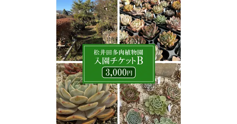 【ふるさと納税】松井田多肉植物園チケットB（3,000円） ANAG003 ／ふるさと納税 観葉植物 多肉 多肉植物 植物園 ガーデン ガーデニング 群馬県 安中市