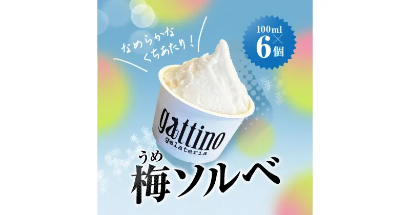 【ふるさと納税】gelateria gattino 安中市秋間梅林の梅ソルベ (シャーベット) 6個 /ANBB003 シャーベット ソルベ 梅 アイス 梅アイスアイスクリーム スイーツ ふるさと 人気