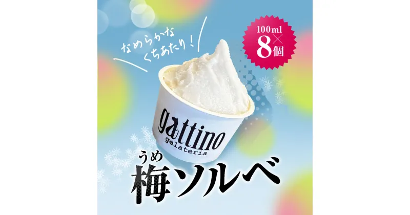 【ふるさと納税】gelateria gattino 安中市秋間梅林の梅ソルベ (シャーベット) 8個 /ANBB004 シャーベット ソルベ 梅 アイス 梅アイスアイスクリーム スイーツ ふるさと 人気