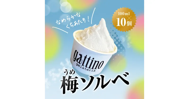 【ふるさと納税】gelateria gattino 安中市秋間梅林の梅ソルベ (シャーベット) 10個 /ANBB005 シャーベット ソルベ 梅 アイス 梅アイスアイスクリーム スイーツ ふるさと 人気