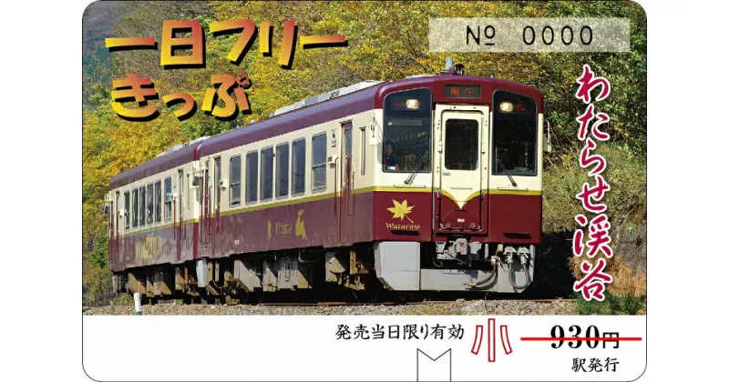 【ふるさと納税】【49】わたらせ渓谷鐵道「トロッコ列車の旅セット」 ※こども1名用