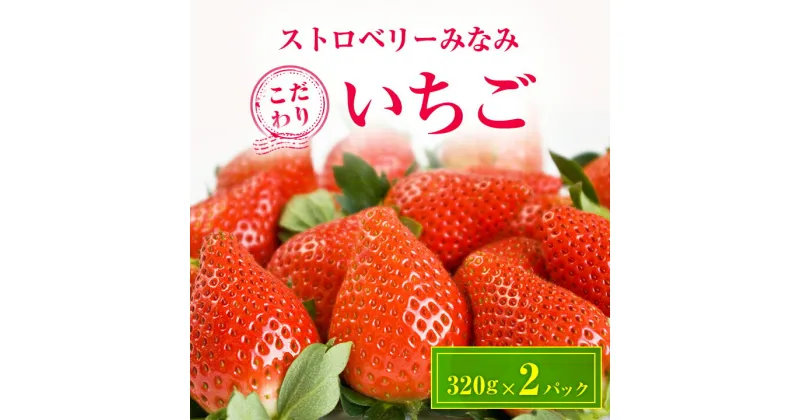 【ふるさと納税】ストロベリーみなみ こだわり　『いちご』　320g×2パック【配送不可地域：離島】【1052500】