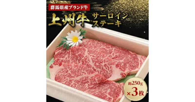 【ふるさと納税】上州牛サーロインステーキ　約250g×3枚【配送不可地域：離島】【1455222】