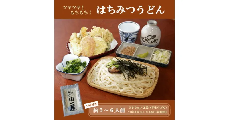 【ふるさと納税】はちみつうどん500g×2袋 約5～6人前(半生うどん)【1125040】