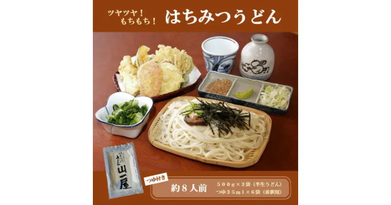 【ふるさと納税】はちみつうどん500g×3袋 約8人前(半生うどん)【1125041】